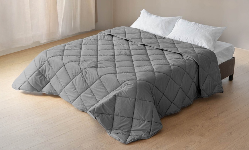 Image 9: Trapunta invernale matrimoniale in velluto