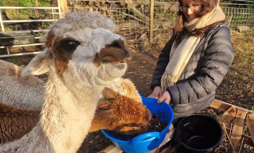 Image 5: Explore Animal Meet & Greet and S'mores Experience for One or Two