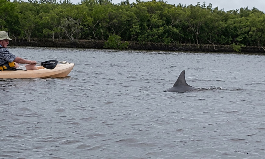 Image 5: Guided Kayak Tours for Wildlife & Nature Exploration in Daytona Beach