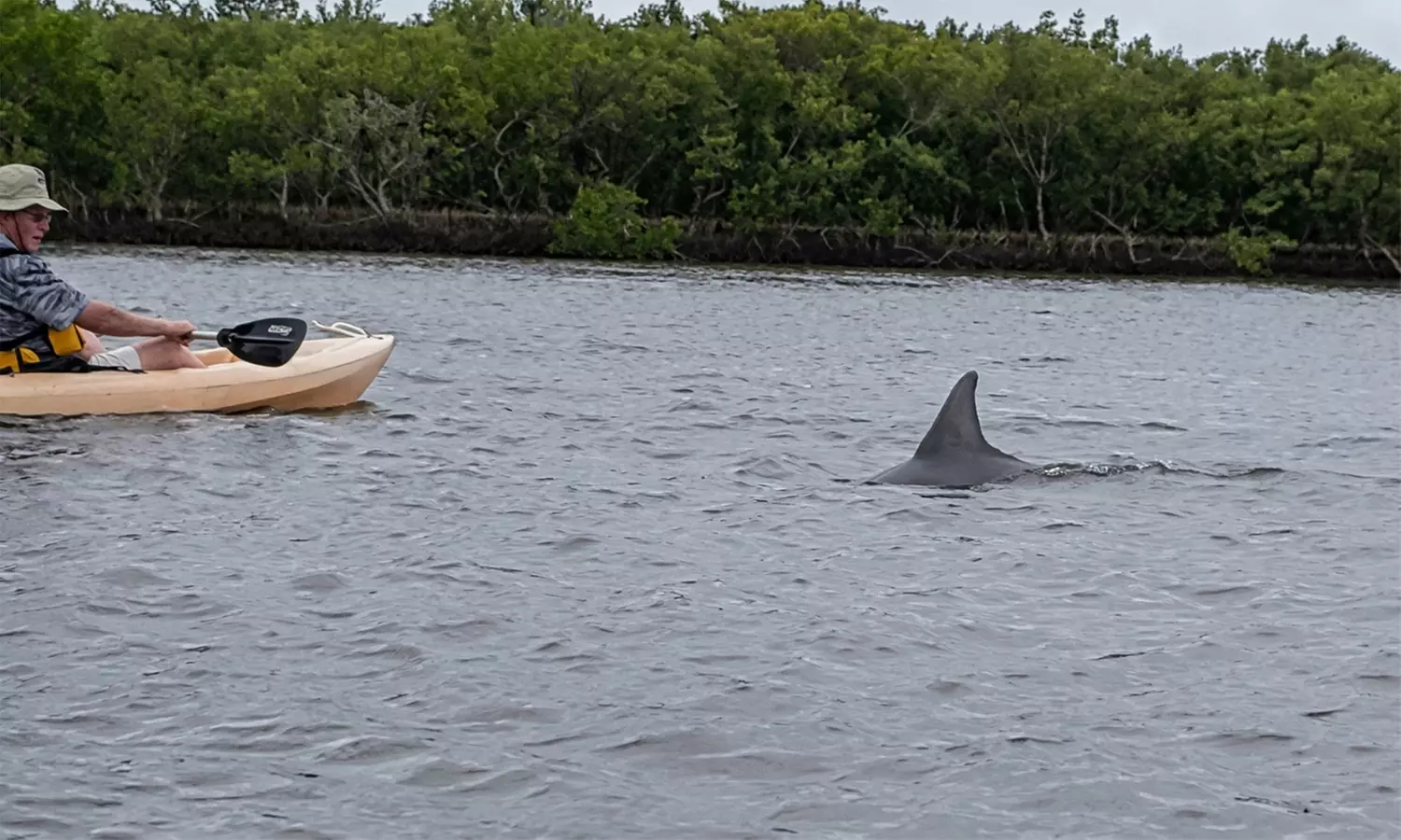 Guided Kayak Tours for Wildlife & Nature Exploration in Daytona Beach