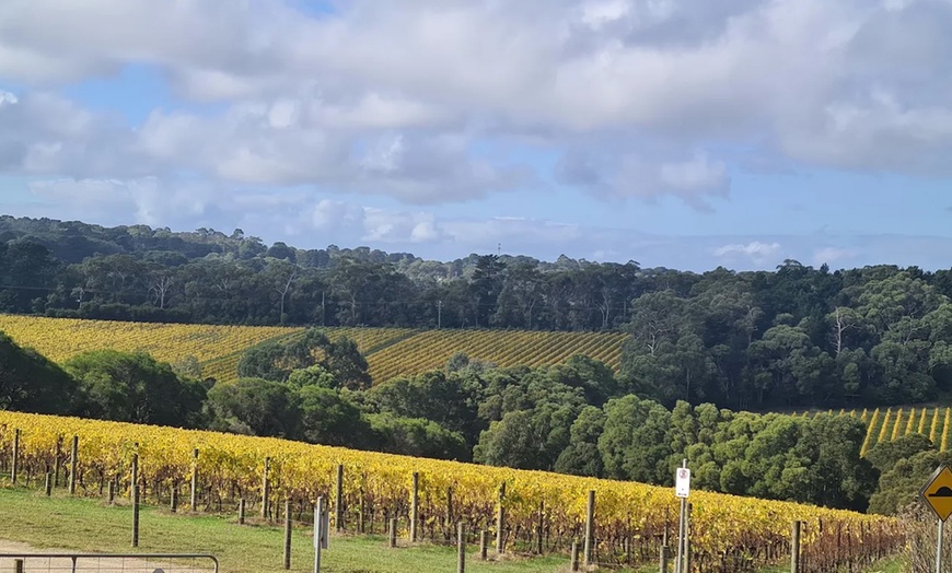 Image 2: Italian Feast with Pizza, Wine & More for Up to 10 People