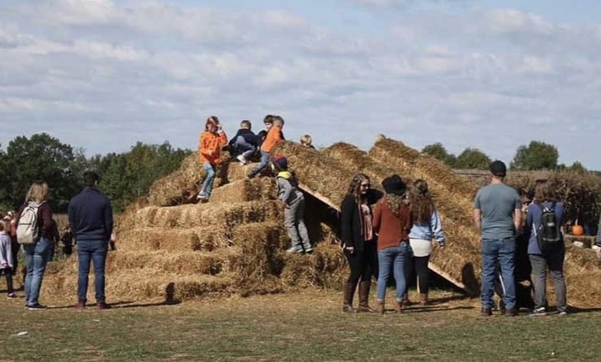 Image 7: 42% Off Corn Maze and Pumpkin Patch at Chesterfield Berry Farm