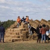 Image 7: 42% Off Corn Maze and Pumpkin Patch at Chesterfield Berry Farm