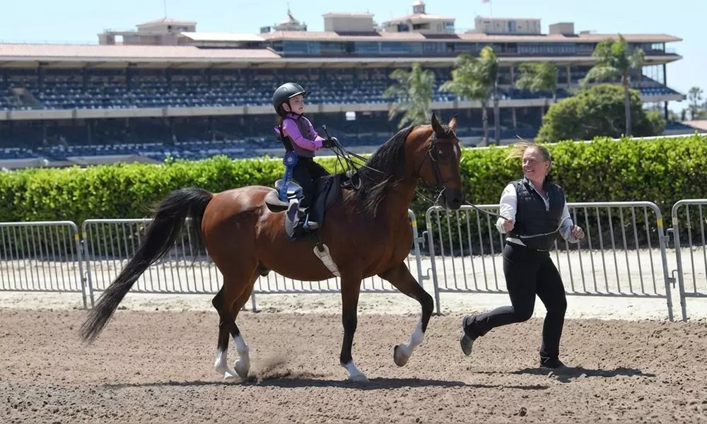 Learn Horseback Riding Lessons: 5 or 10 Private Sessions
