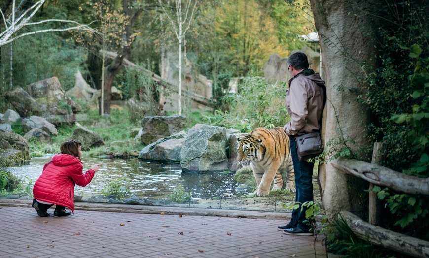 Image 10: Einzigartig wild: Tageskarten für den Zoo Duisburg