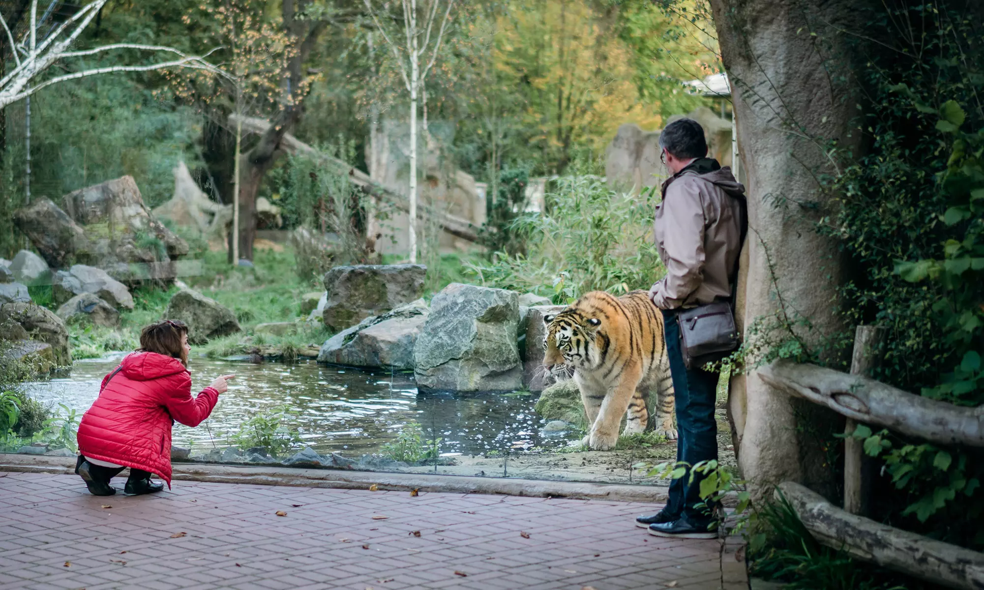 Einzigartig wild: Tageskarten für den Zoo Duisburg