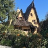 Image 2: Hollywood & Beverly Hills: Celebrity Homes & Iconic Landmarks Tour 