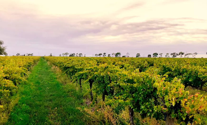 Image 6: Dive Into Flavours with Wine or Reserve Wine Tasting in Hunter Valley!