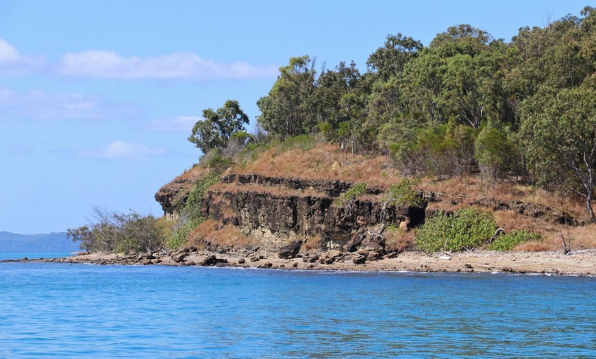 Image 6: Four-hour of Whales & Beaches, Big Woody Hiking, or Island Hopper