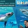 Image 1: SEA LIFE Sunshine Coast Aquarium: Adult entry at Child Prices - 