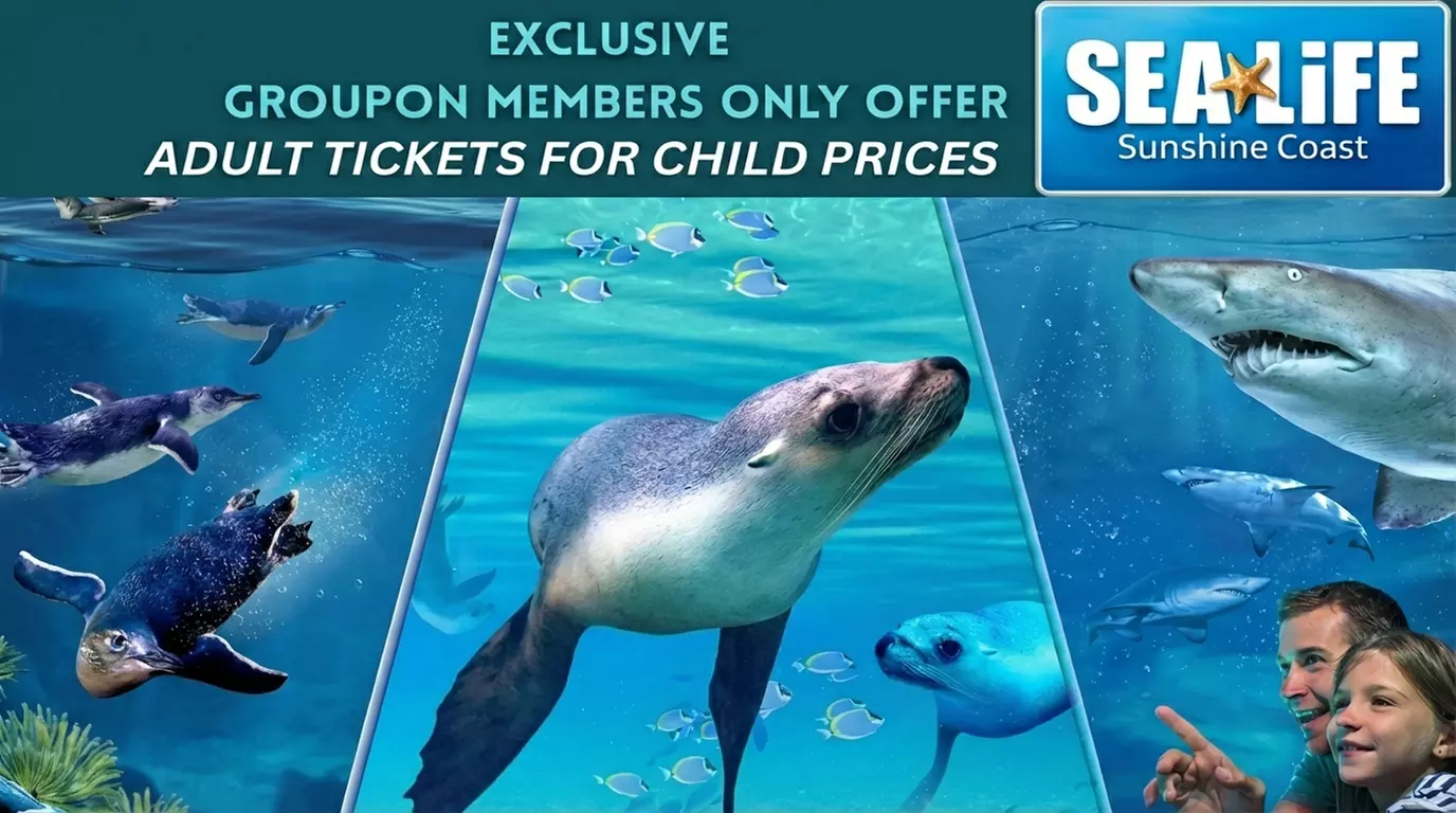 SEA LIFE Sunshine Coast Aquarium: Adult entry at Child Prices -