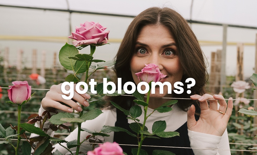 Image 2: Rosaholics - Stunningly Unique Rose Bouquets & Exotic Flower Arrangements Up to 74% Off on Flower Delivery