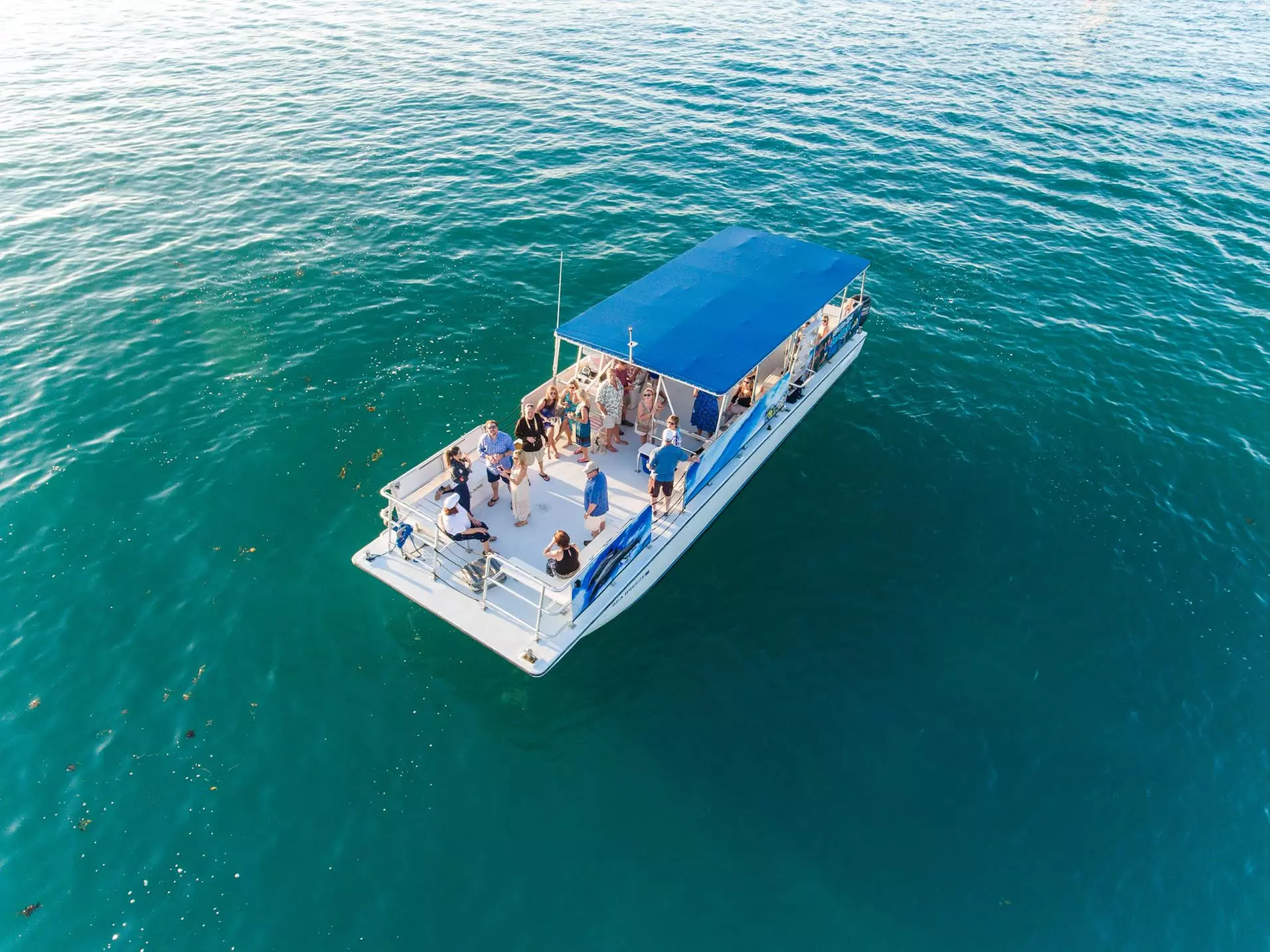 Key West Dolphin Watch & Snorkel Tour