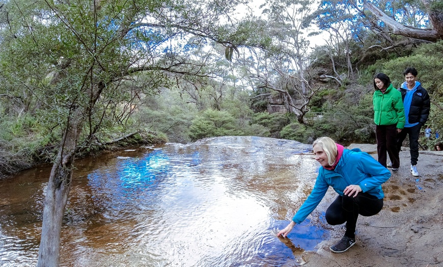 Image 3: Blue Mountains or Hunter Valley Tour: Wildlife, Wine & Scenic Wonders!