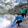 Image 3: Blue Mountains or Hunter Valley Tour: Wildlife, Wine & Scenic Wonders!