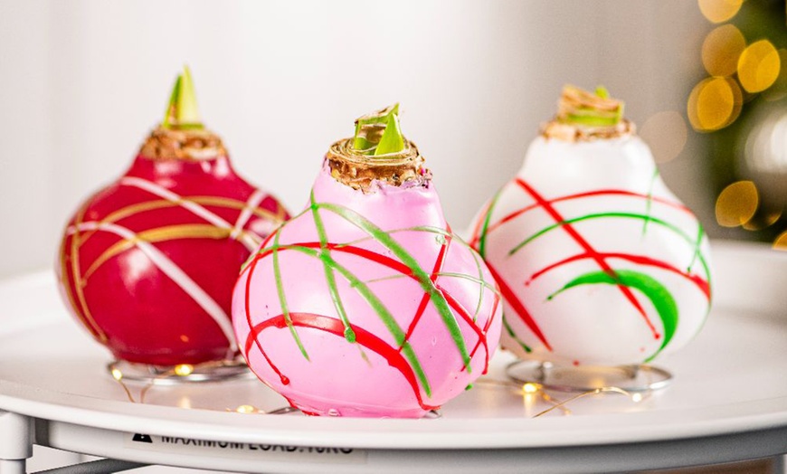 Image 3: One or Two Amaryllis Touch of Wax Art, Decorative No-Water Blooms