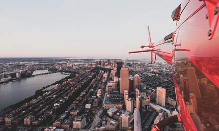 10 Miles Island Tour for Up to 3 People - Max Flight Helicopters Detroit