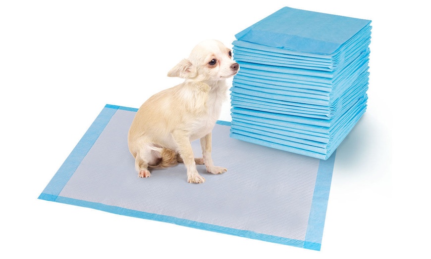 Potty Puppy Training Pads (200 Pieces) | Groupon