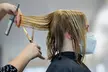 Sesión de peluquería con corte, mascarilla, peinado y opción a tratamiento reparador o de color para 1, al 61% - Second Medium
