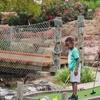 Image 6: 18-Hole Mini Golf and Slushie of Choice – Pearl, MS