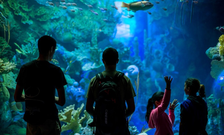 Phillip and Patricia Frost Museum of Science in - Miami, FL | Groupon