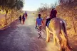 90-Minute Horseback Riding Drop-In Class or Week-Long Summer Camp with Riding Lessons (Up to 52% Off) - Second Medium
