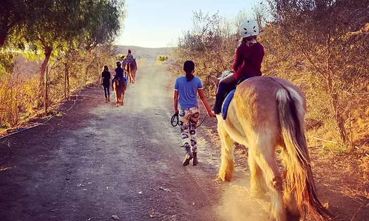 Horseback Riding Drop-In Class / Week-Long Summer Camp w/Riding Lesson