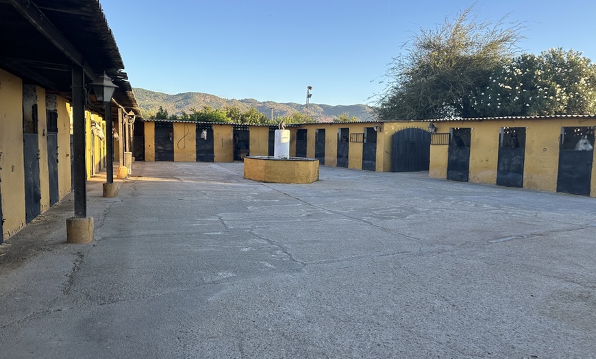 Image 2: Clases de iniciación a la equitación con casco, para niños y adultos