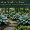 Image 6: Giant Hosta Perennial Bare Root Collection (9 or 18 Pack) – Live Garden Plants + Free Shipping (Up to 29%Off)