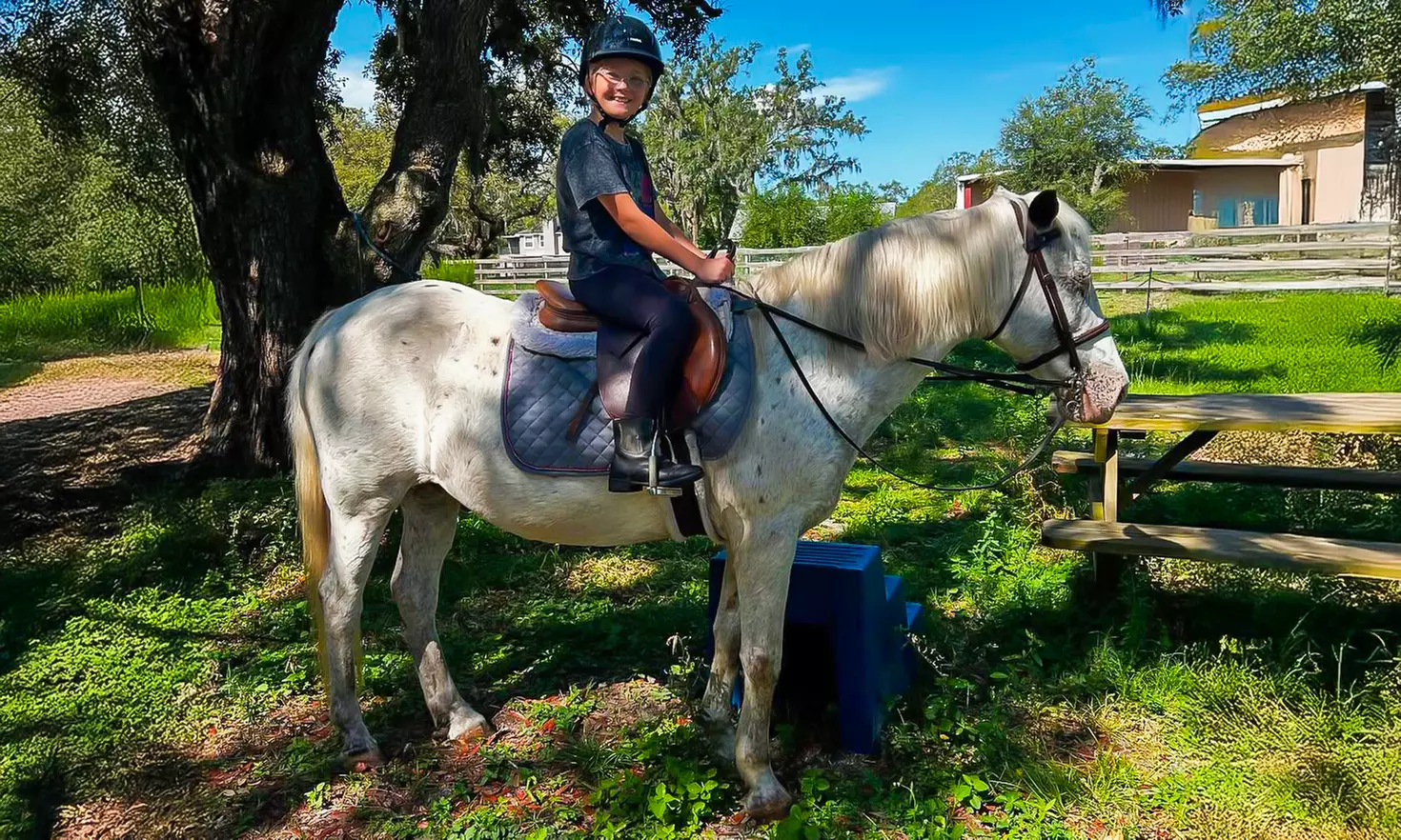 Delve into One, Two or Four Horseback Riding Lessons for a Child