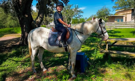 1 Horseback Riding Lessons for a Child (60 minute) - Pony Coach