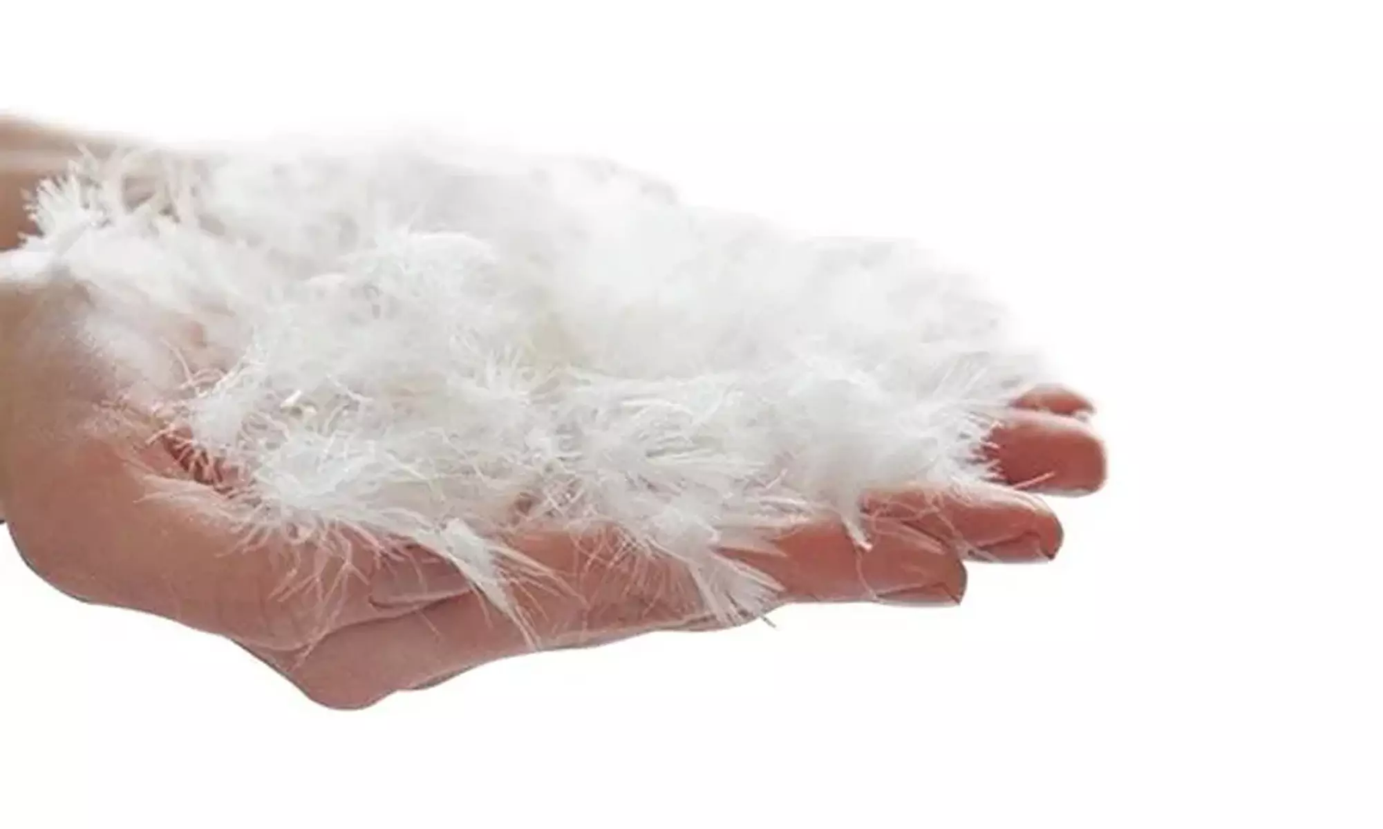 Oreillers ''100 % Plumes'' broderie luxe, Sampur