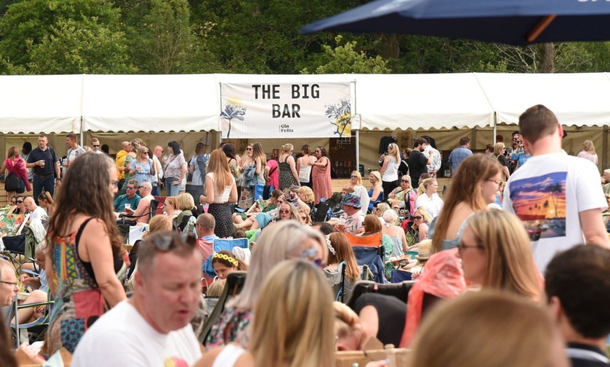 Image 4: Ticket for One or Two to Sussex Gin Festival – 5 July 2025, 12 - 9 PM