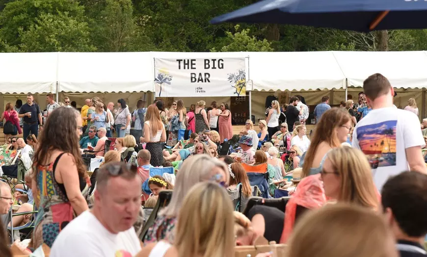 Image 4: Ticket for One or Two to Sussex Gin Festival – 5 July 2025, 12 - 9 PM