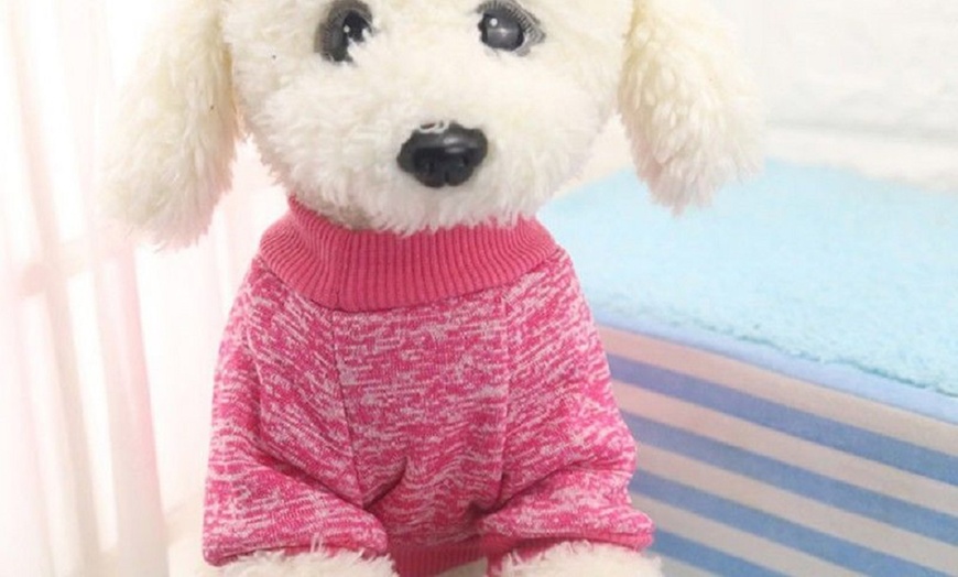 Image 5: Pet Jumper