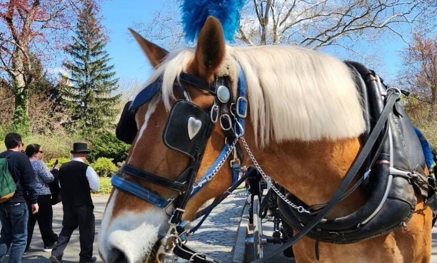 Image 4: Enjoy a 45-Minute Classic or 60-Minute Deluxe Horse & Carriage Ride 