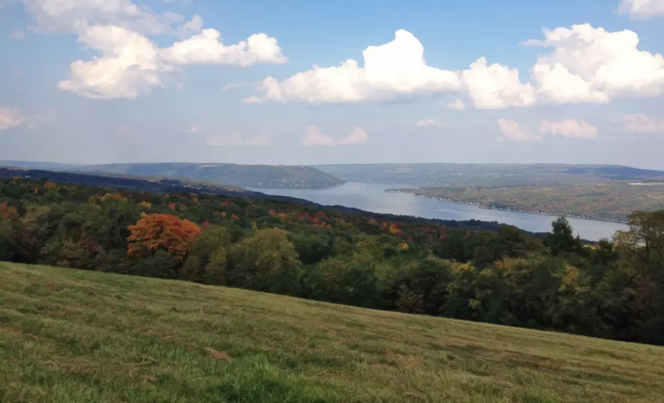 1- or 2-Night Stay for Two with Optional Wine-and-Beer Tour at 18 Vine Inn & Carriage House in Hammondsport, NY - Primary Image