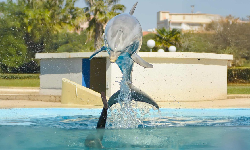 Image 9: ¡Atracciones y diversión! Entrada de 1 día a Aquópolis Costa Daurada