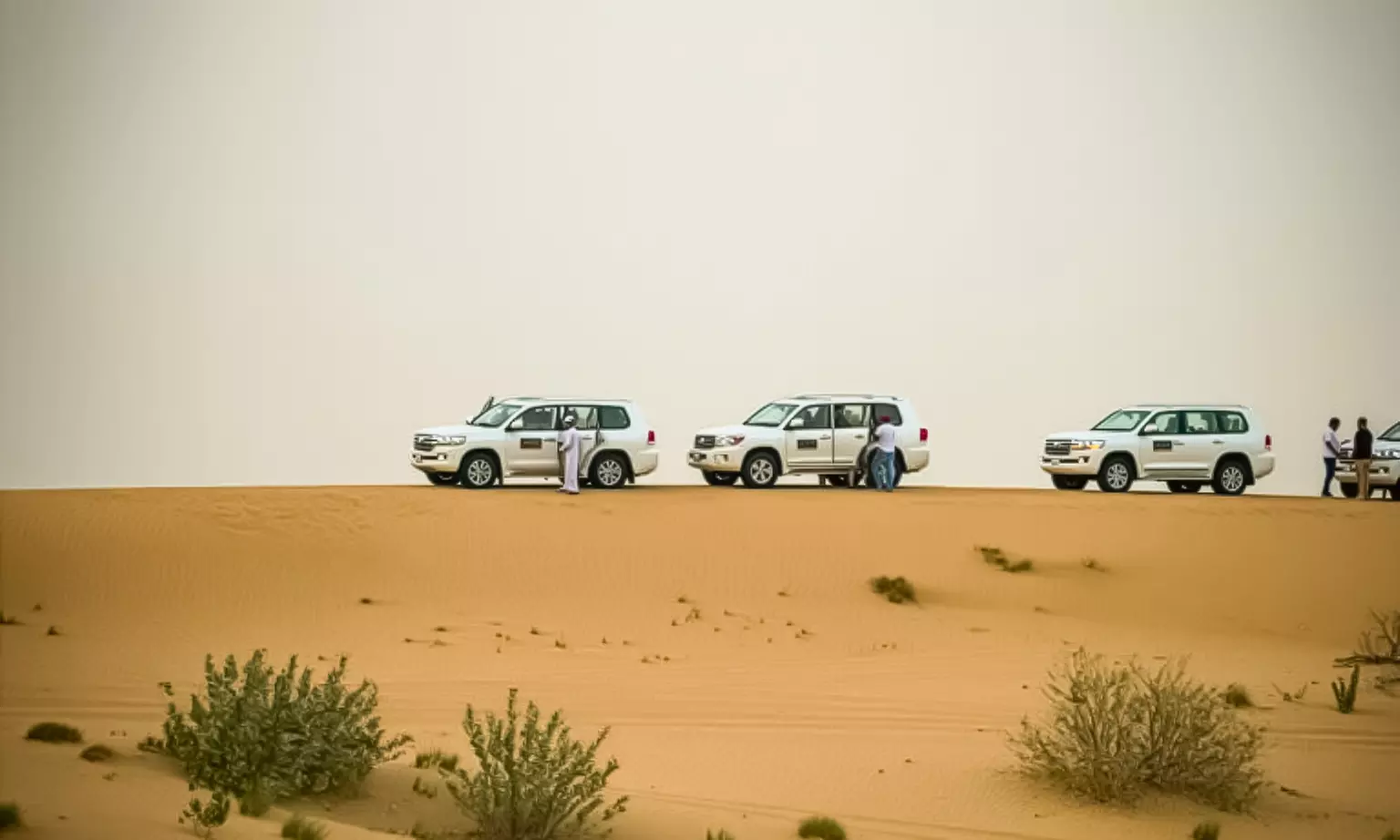 Evening Desert Safari + BBQ, Sandboarding & Camel Ride For Up to 6