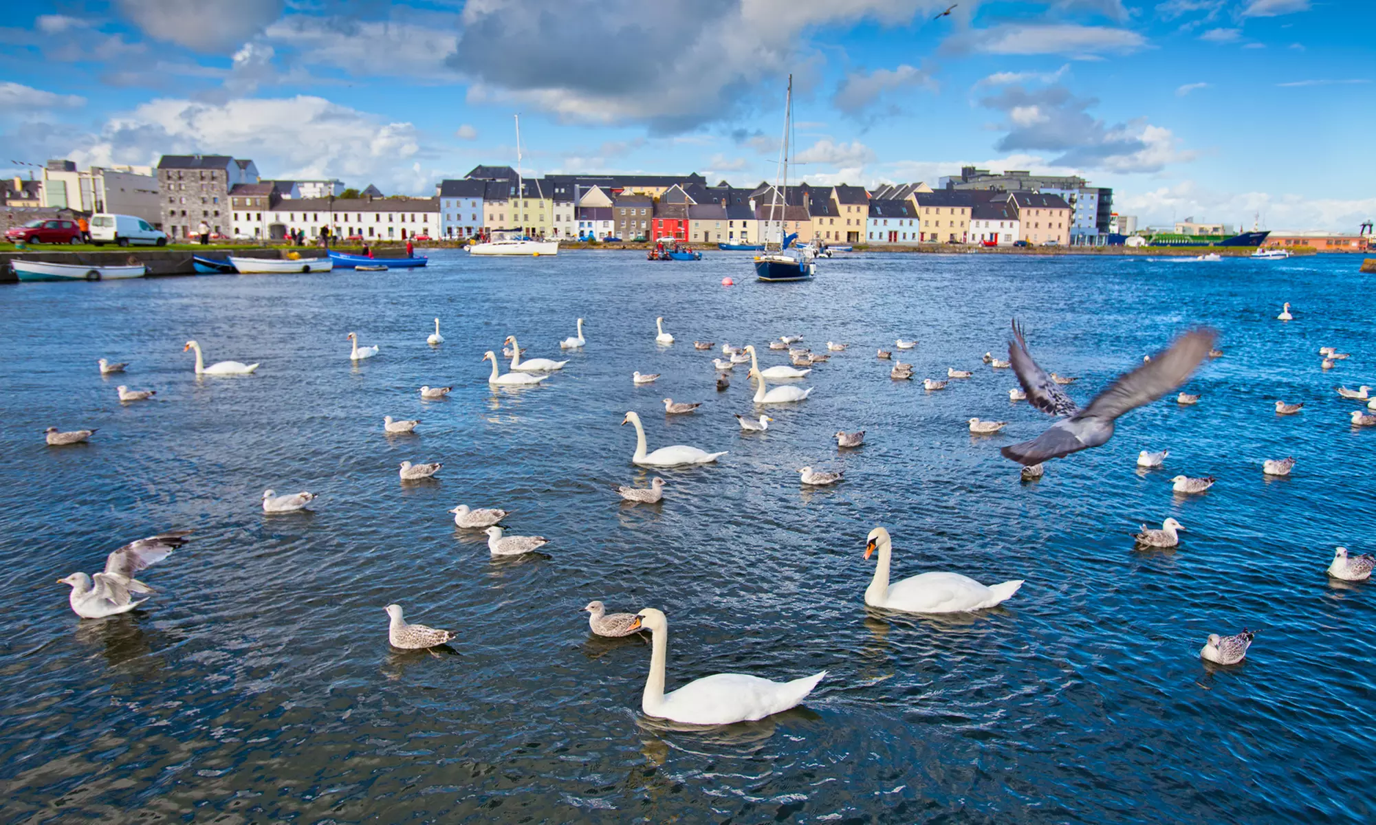 ✈ 6-Day Dublin Vacation with Air