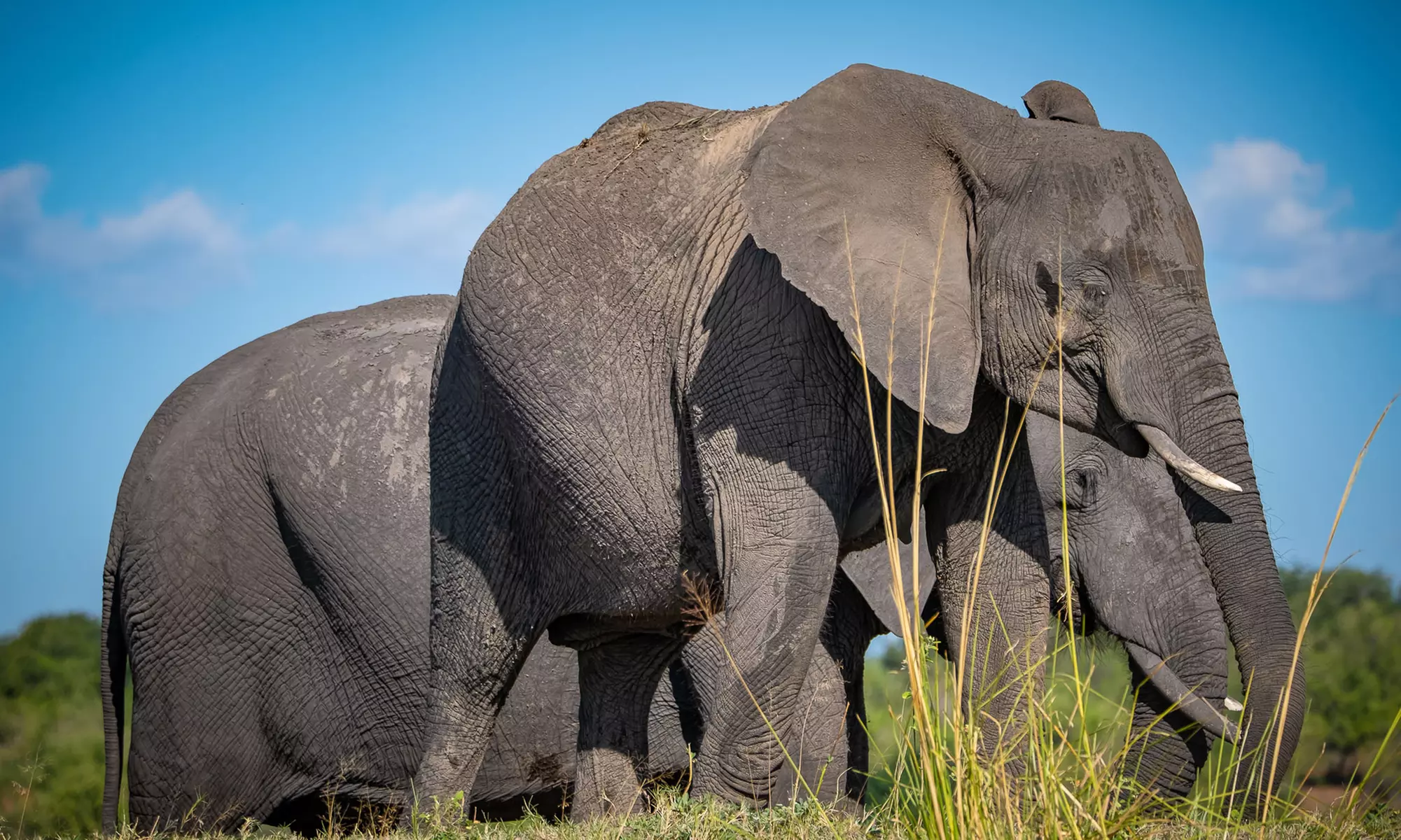 Zimbabwe: 7-Night Yoga & Safari Retreat