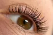Enhance Your Look with Full Set of Classic or Volume Eyelash Extensions with Two Week Fill ( Up to 61% Off ) - Second Medium