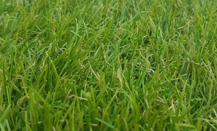 Image 10: Gazon artificiel pour extérieur