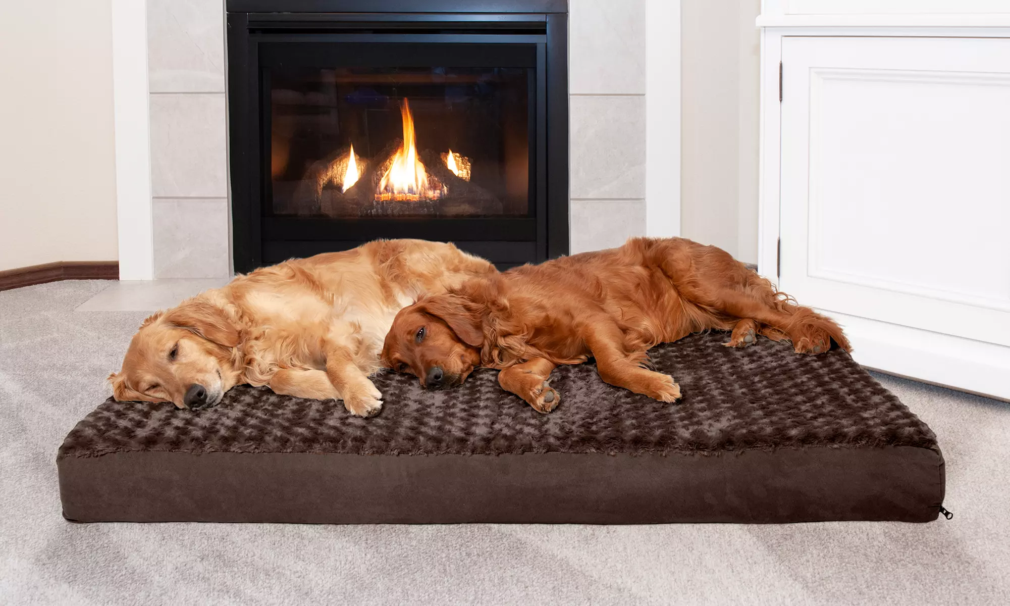 FurHaven Memory Foam Pet Bed Groupon Goods