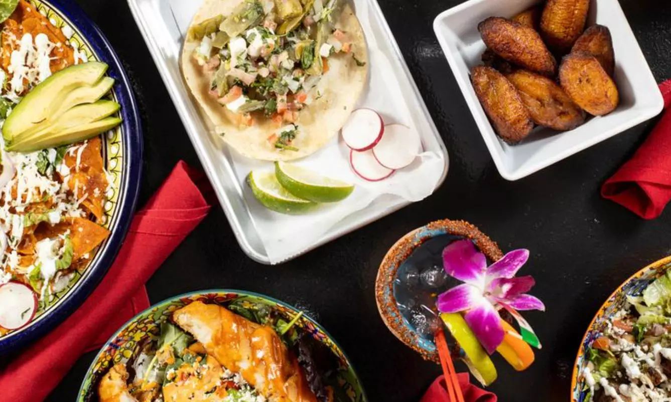 Vibrant Rooftop Dining: Choose Meals, Margaritas, or Dining Credit