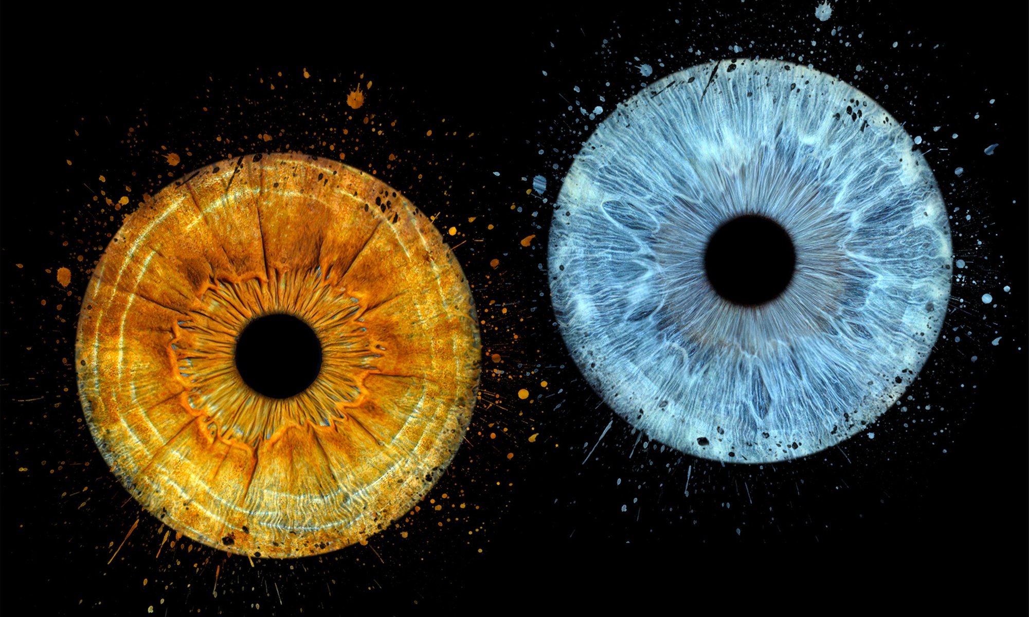 Zachowaj historię w spojrzeniu – unikalne zdjęcie tęczówki oka