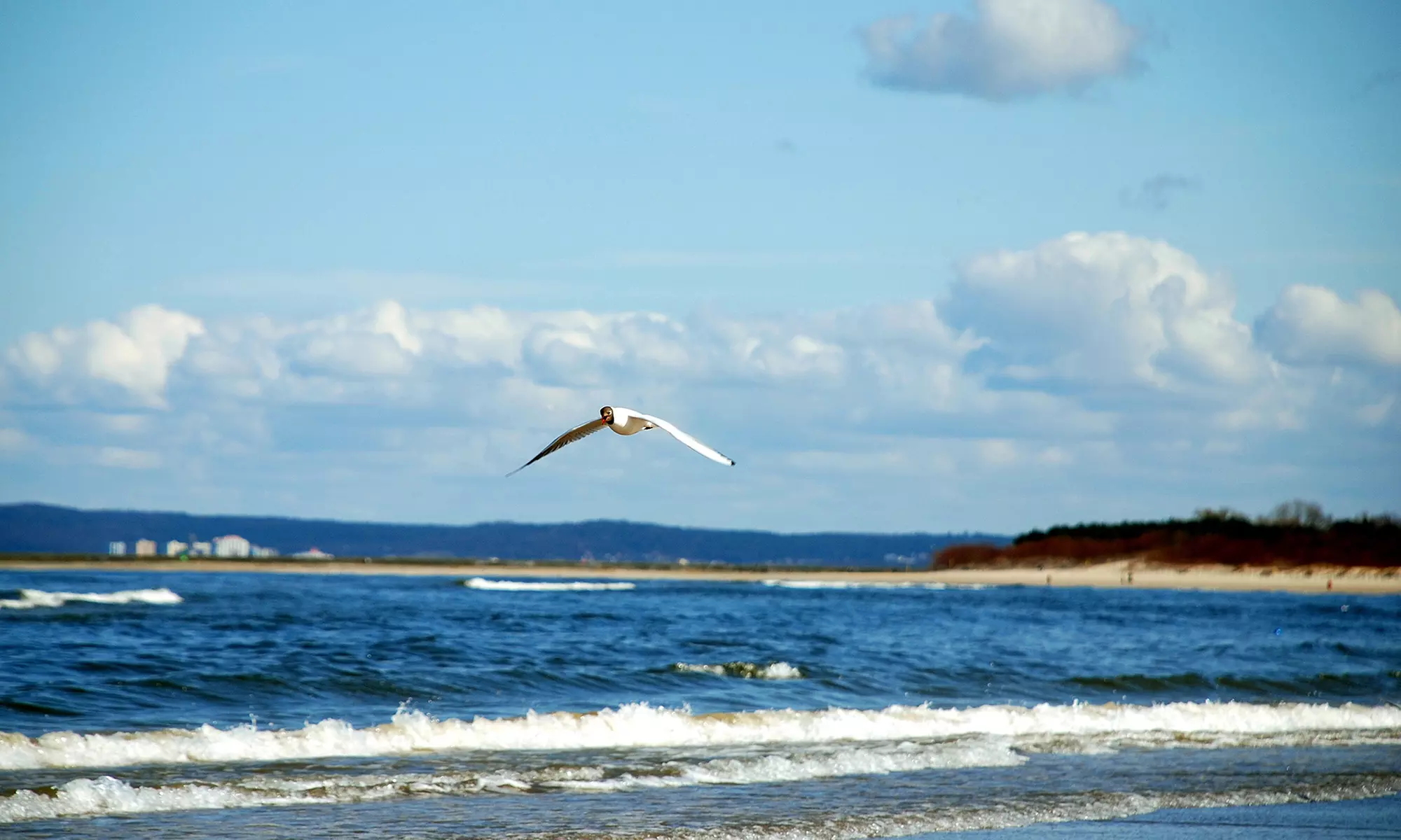 Świnoujście: 2-7 nocy dla 1 lub 2 osób ze śniadaniem