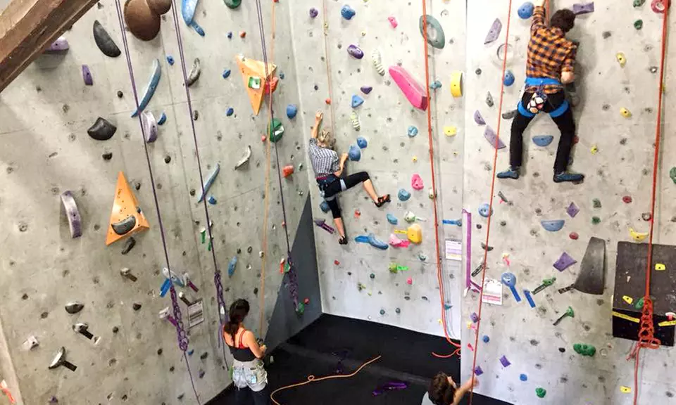 Intro Climbing Package for Two, Four, or Six at Tallahassee Rock Gym (Up to 50% Off) - Primary Image