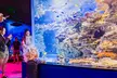 Hands-on experiences and new immersive exhibits! Visit from 4pm-8pm. (Up to 29% Off) - Second Medium