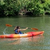 Image 7: Immerse into Chicago Nature with Wateriders' Kayak Rentals!